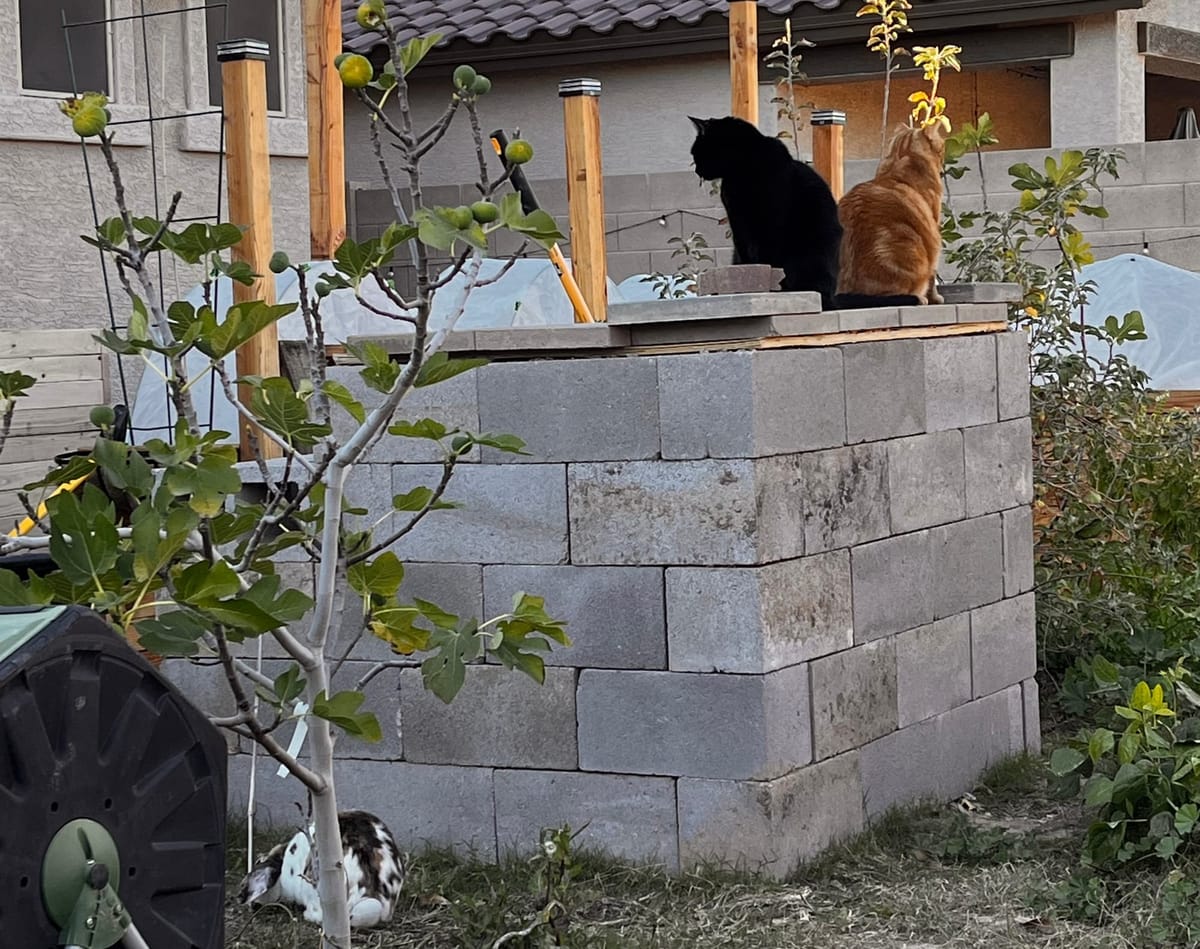 The FaithfulFocus Publication